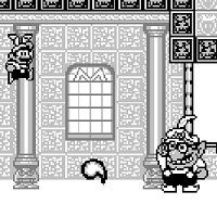 146
